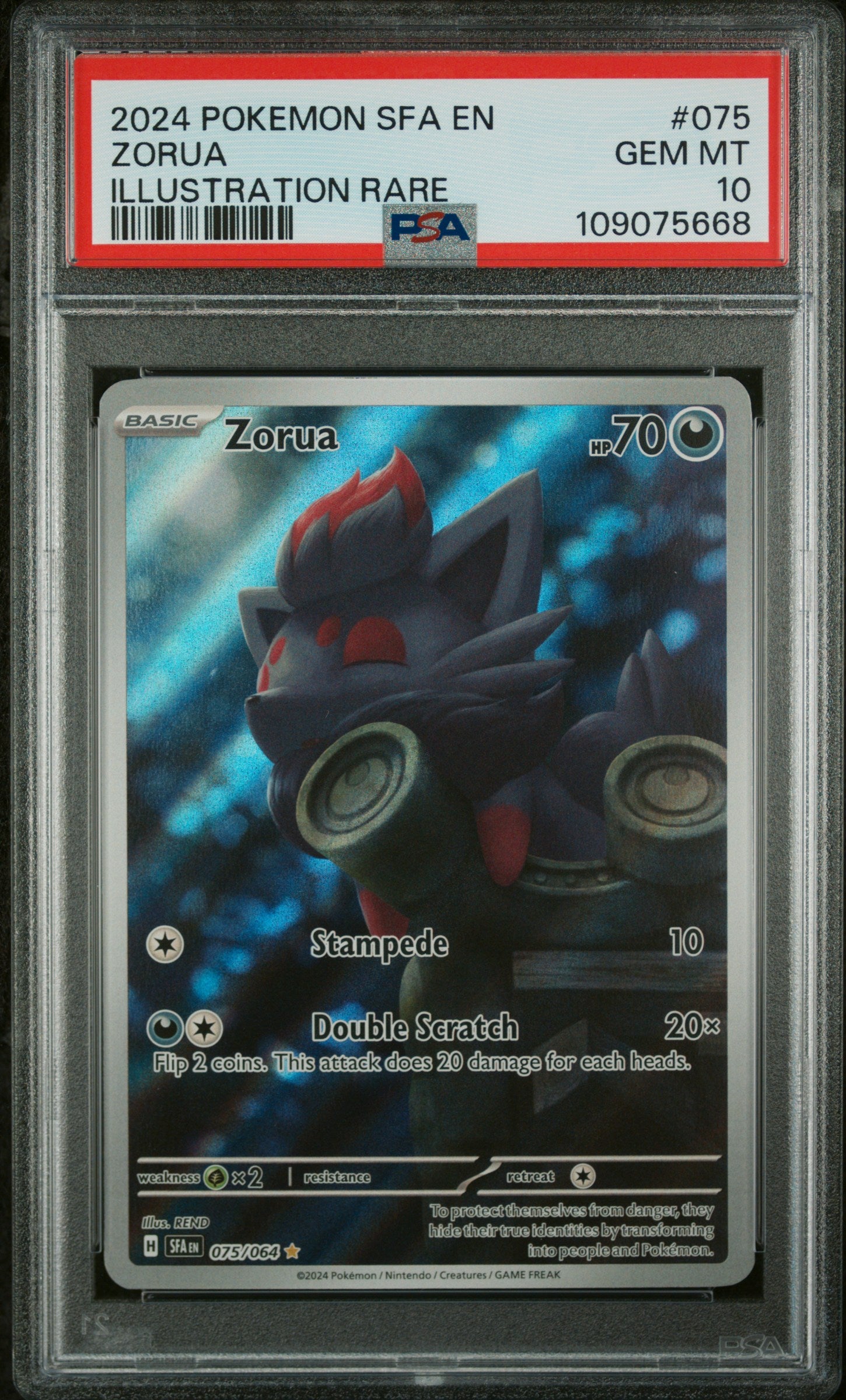 2024 POKEMON SFA EN-SHROUDED FABLE #075 ZORUA ILLUSTRATION RARE