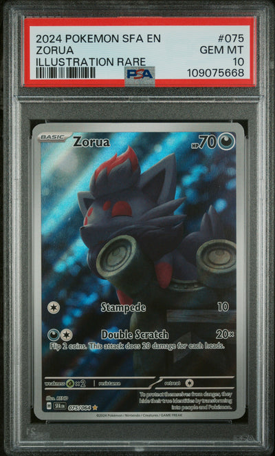2024 POKEMON SFA EN-SHROUDED FABLE #075 ZORUA ILLUSTRATION RARE